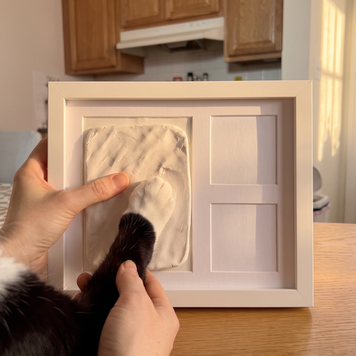 Paw Mory